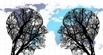 mk体育-体育新闻中心协同多方建立体育内容风控机制，体育新闻机构