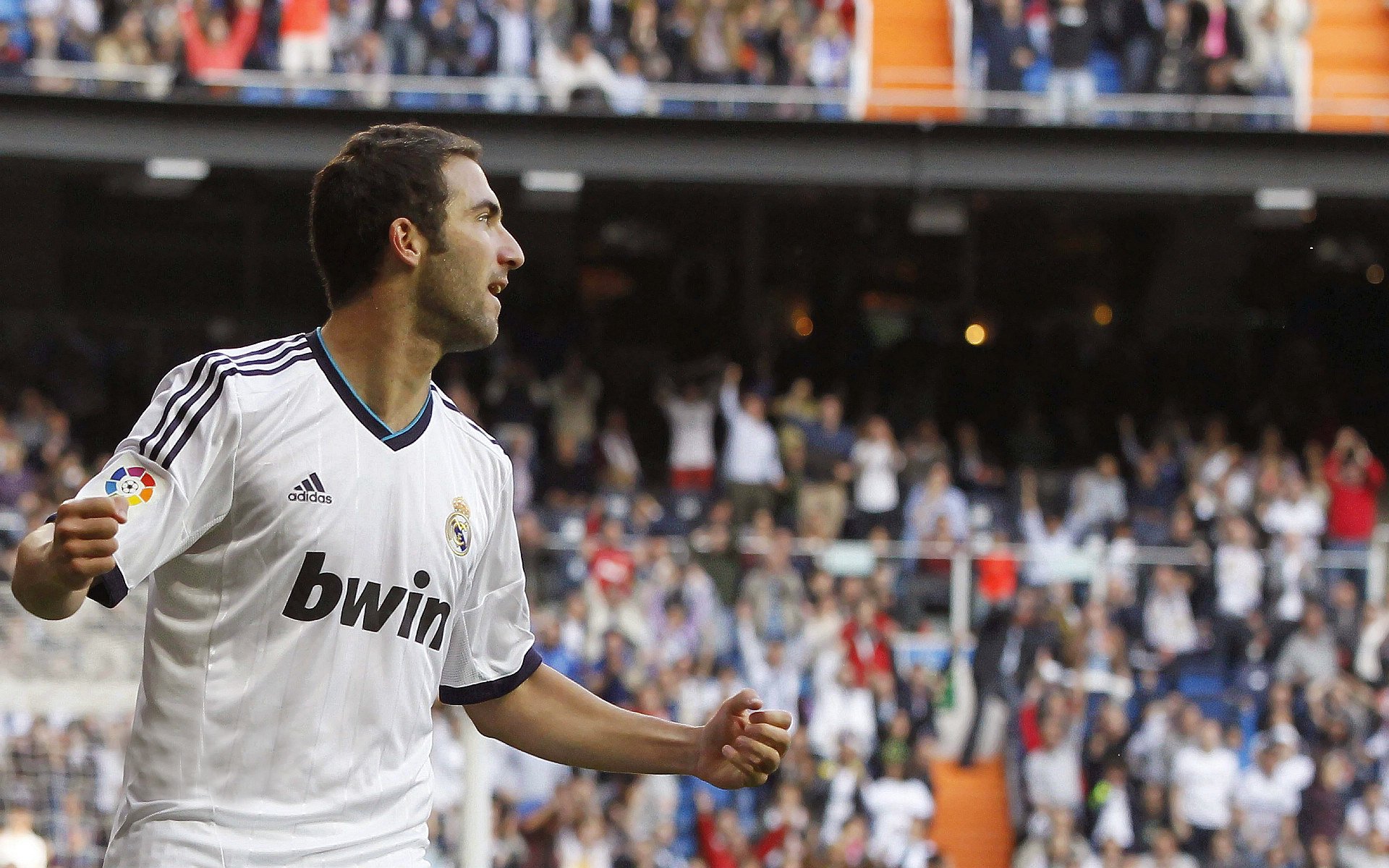 德国自由泳队后程加速能力突出,自由泳大师