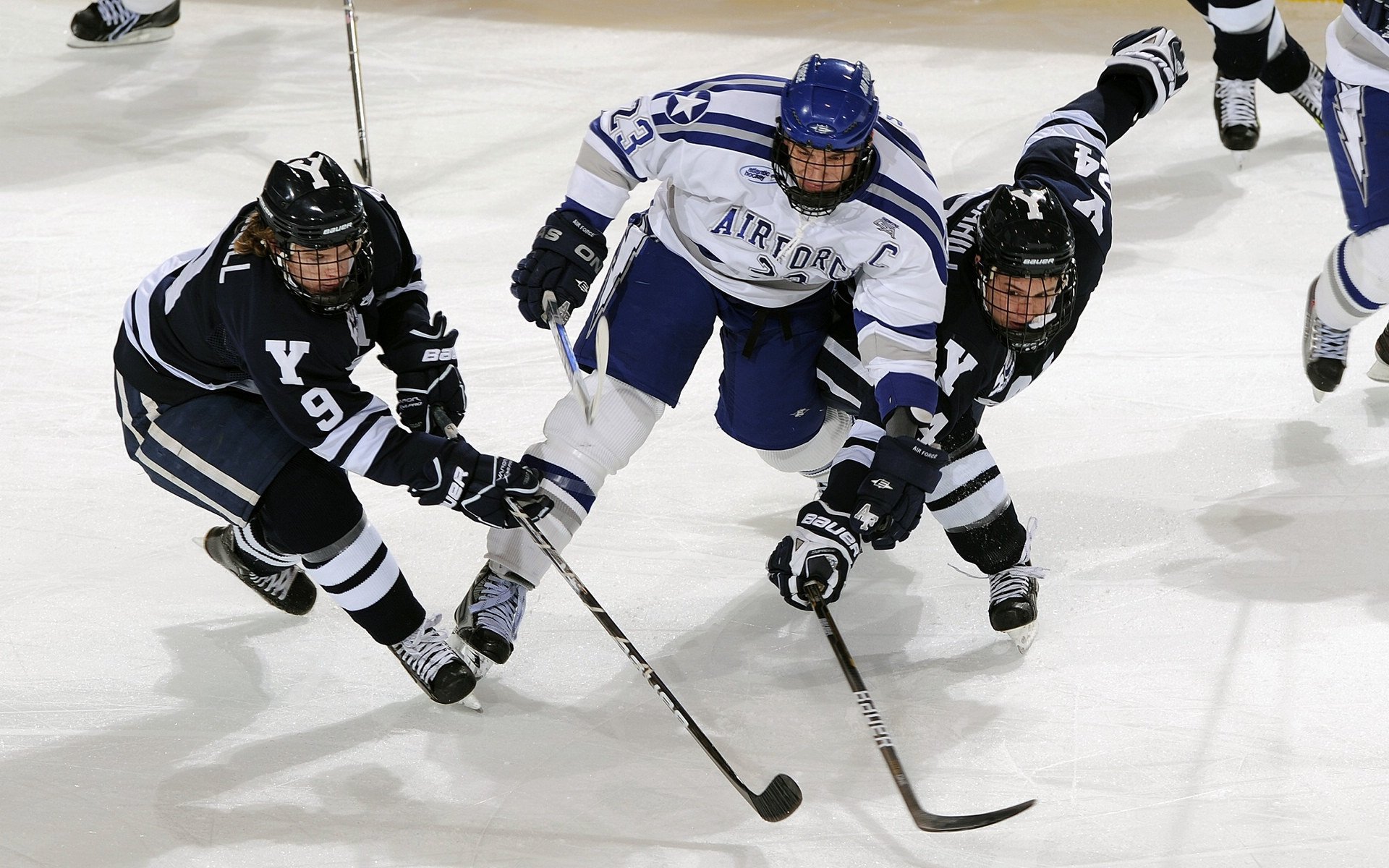 上赛场的清晨,为青春发令!高校接力登上F1赛道,点燃上海青春引擎